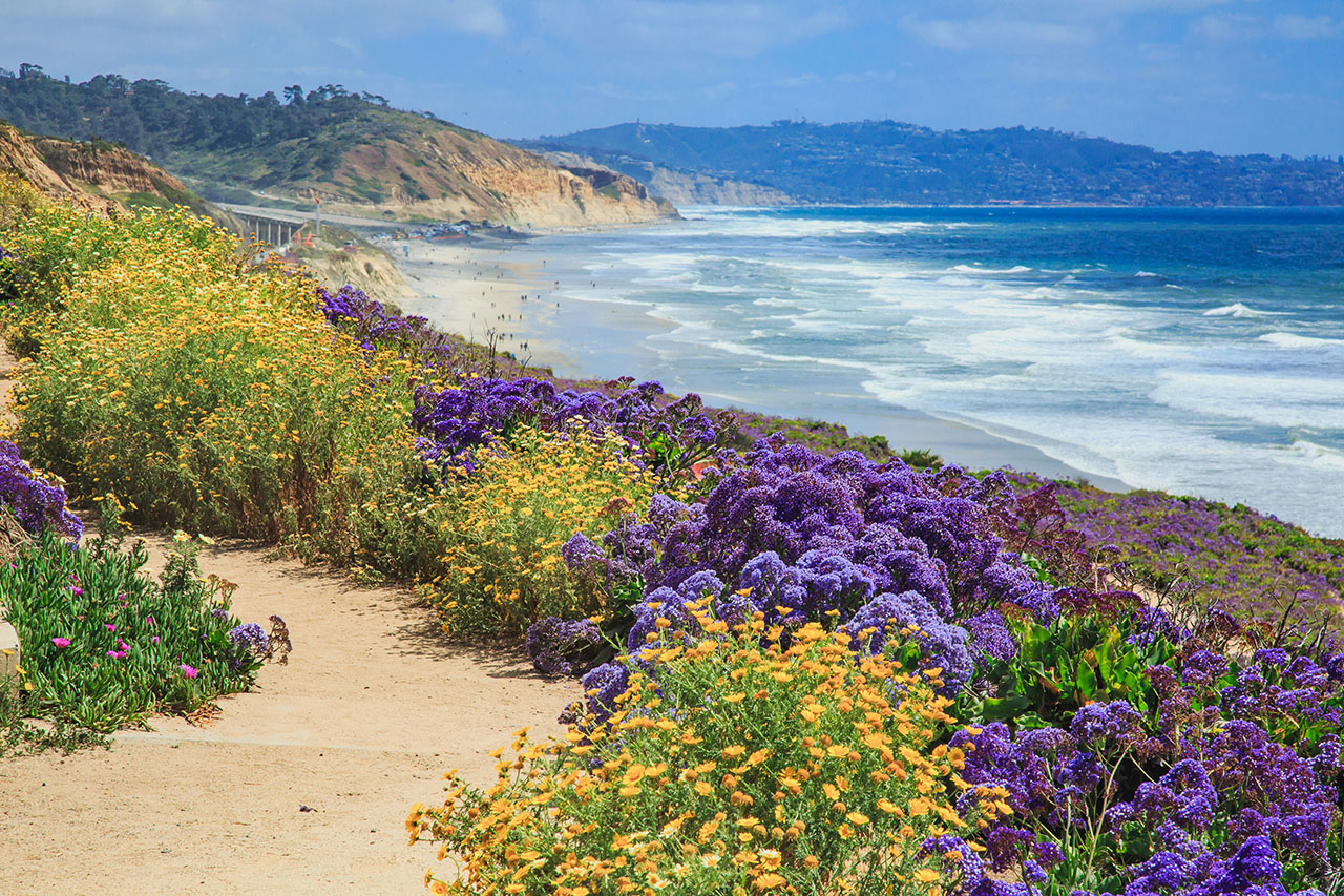 Property owners enjoy scenic hiking trails overlooking the ocean in Del Mar with San Diego property management